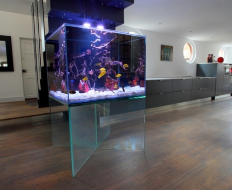 Interior Aquarium Desain Samarinda 001